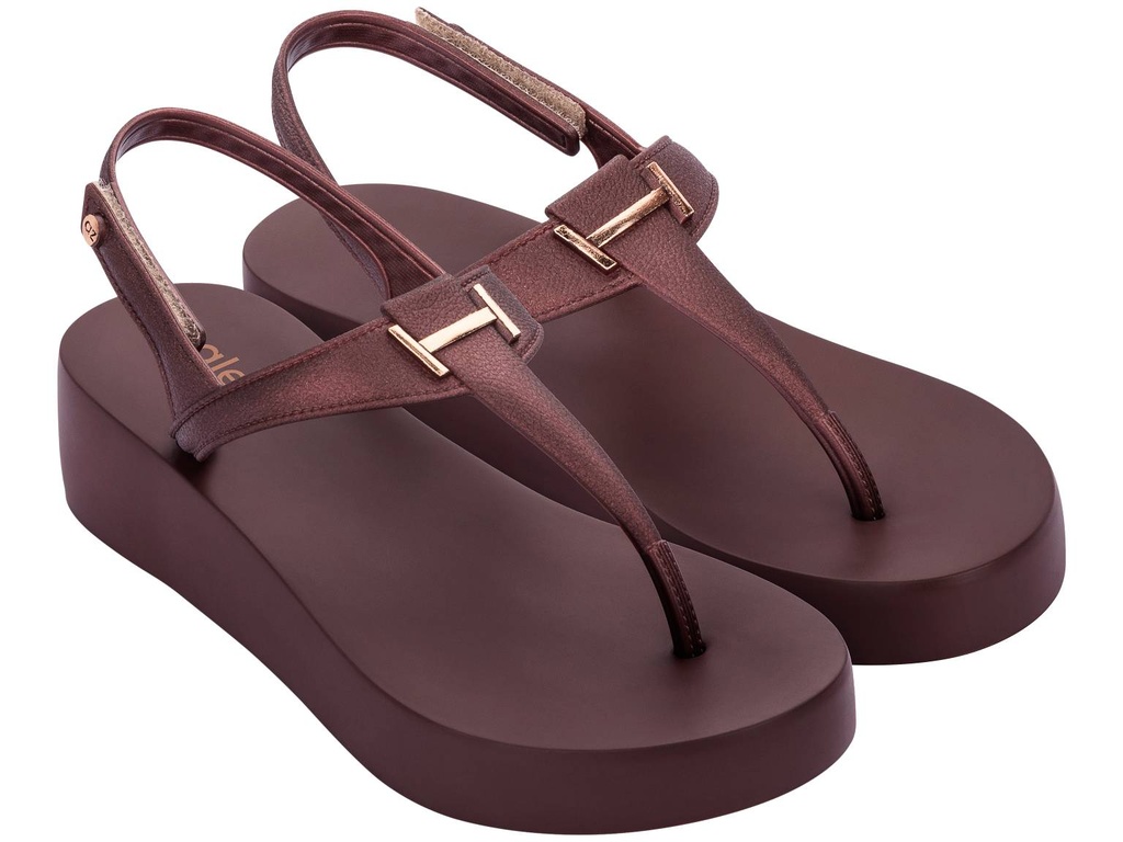 18527_AC459 / GRENDENE /  BORDO / CAJA DE 6 PARES