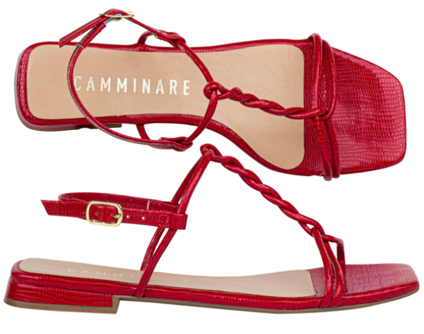 6691-17356 / MARYFER / MARYFER / LIZARD INP INV.23 SCARLETH / CAJA DE 12 PARES